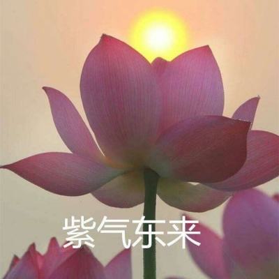 飞扬时光宝盒app下载